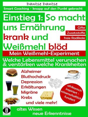 cover image of Einstieg 1